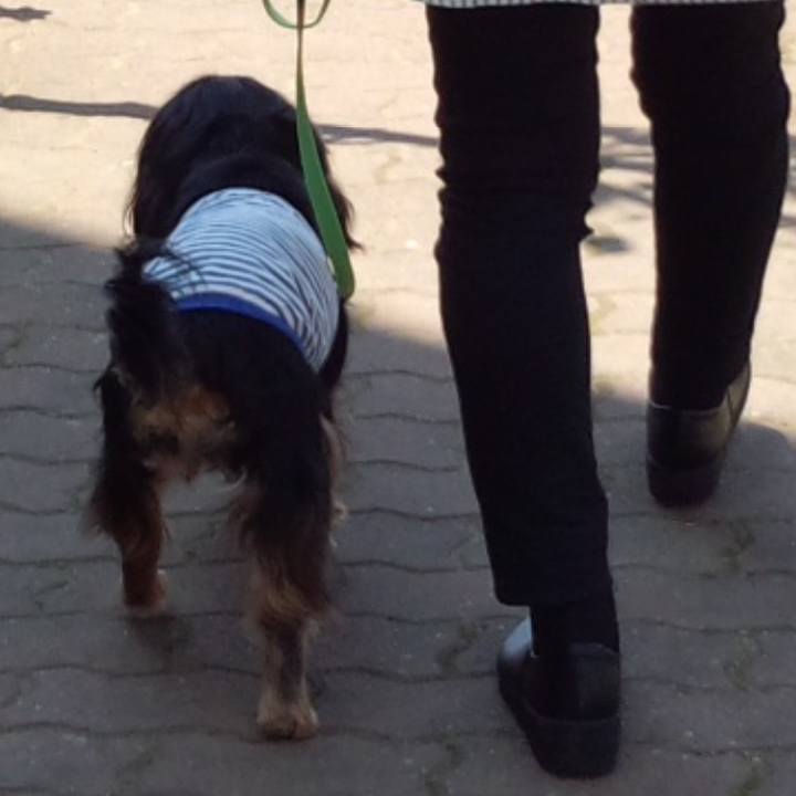 20ac88bd 8e5b 4b5b aeed ec177a6a6d9d 1524481322599