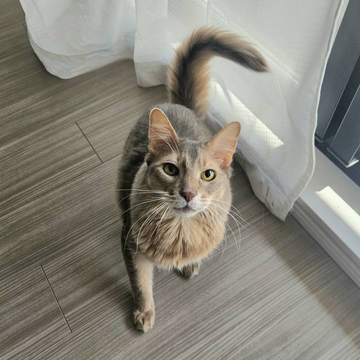 20ac9655 69a0 42d4 89e6 e91e6cddf324 1773623794843