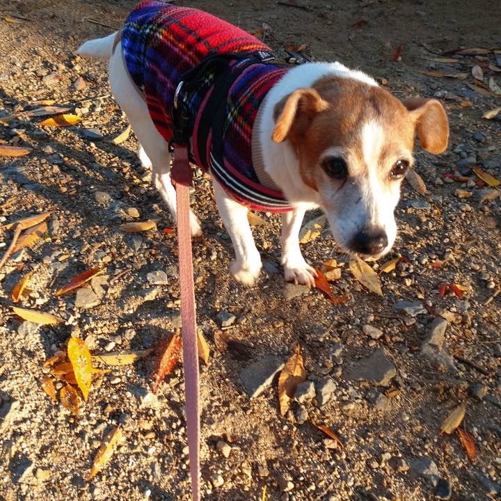 20aca92e eb8d 48ad 83b4 bf8b89ec6560 1763596075211