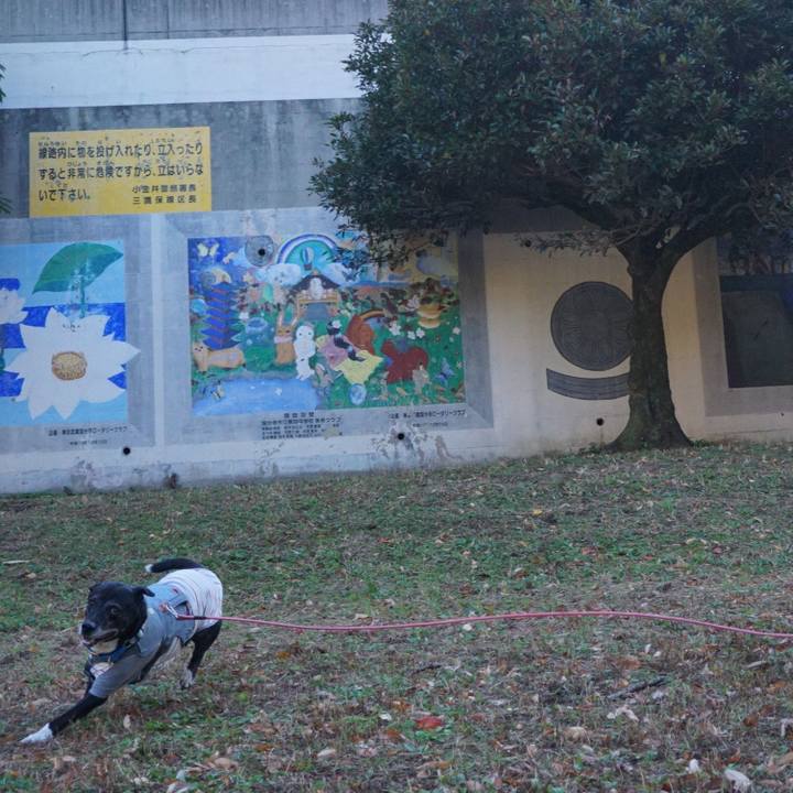 20accf67 a955 45c5 954e 7cdcf1814a53 1763516233981