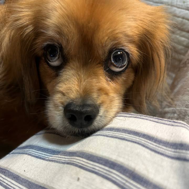 20acd9cb 1ae4 4589 ba40 59063559f166 1708465931986