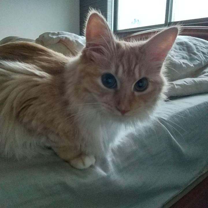 20ad5c7a 7c12 4f4e bf13 6c3c7116ae51 1624917119557