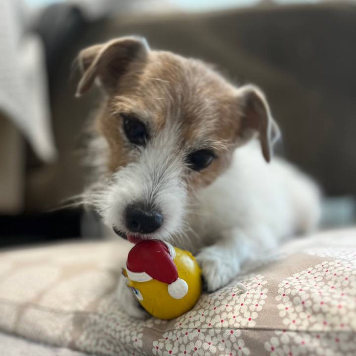 20ad9ec5 1970 4278 a419 ad58c2d56d2b 1731138938304