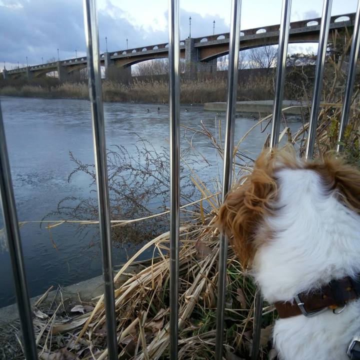 20ada7e0 17a8 41c2 8b43 576b31d39542 1515717382380