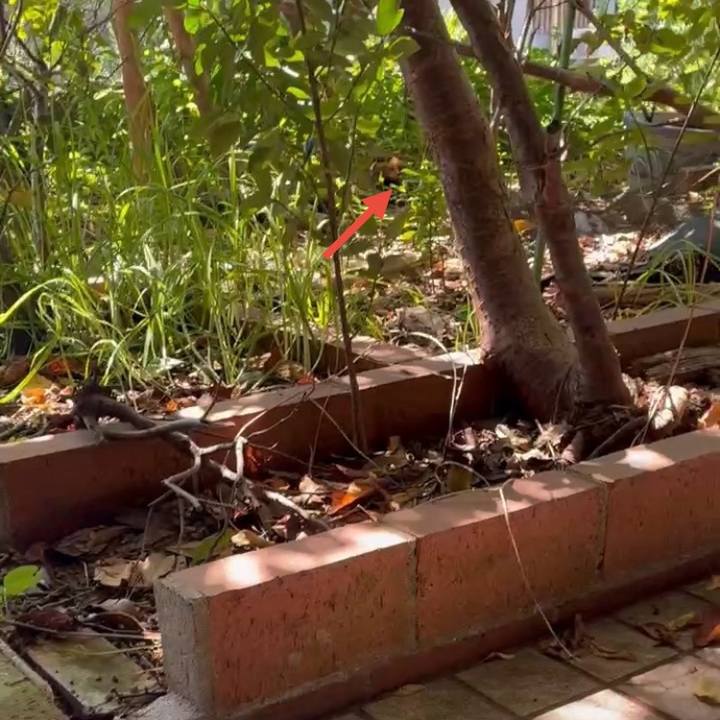 20adb5d3 3c97 4081 9d9d 6e1782b5fb5f 1757125700030