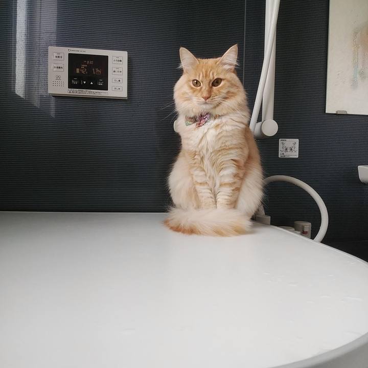 20adb735 4c00 4d4f a49d 6240ef7dccbe 1642908584180