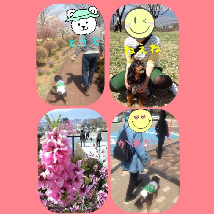 20adc5cd c038 422e aaef 39dfa1b3b27c 1522848866689