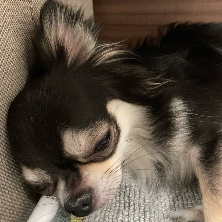 20add1b8 91f9 484c 8f84 a08380b7cdf4 1661570395932