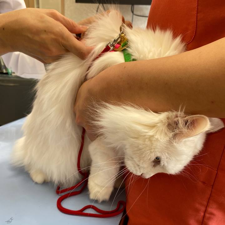 20ae037a a02c 4306 9e7e fc13b5c59b55 1576247653434