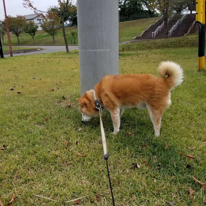 20ae82b4 704b 48f9 8596 c56a1d82c94a 1696747492225