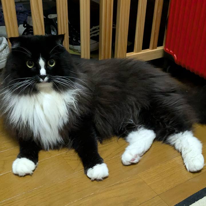 20aead56 d52b 4891 bd26 6cf0580c17a1 1726445026771