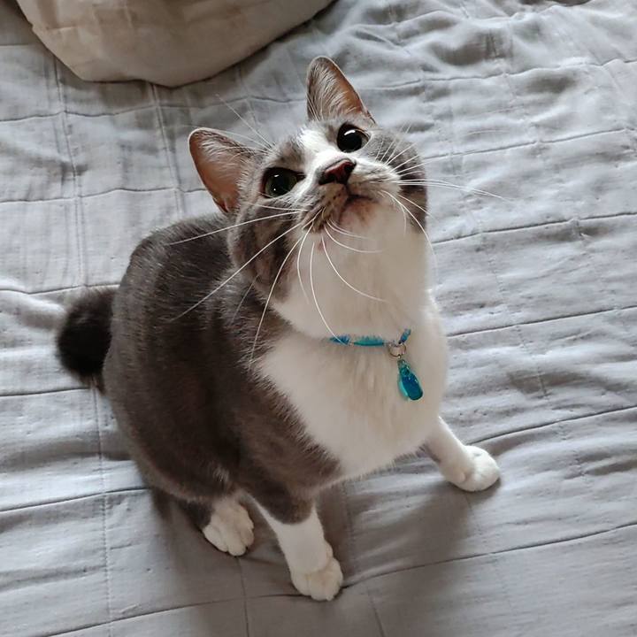 20aeb43d a76d 4f21 87a3 036993cd6bf3 1660602764143