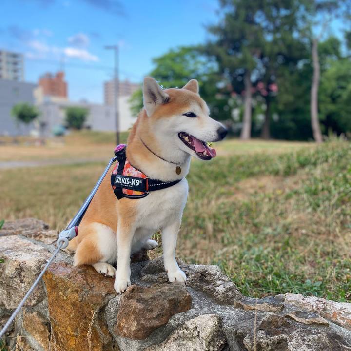 20aee486 cb4b 467c 9548 6a4a342f99ef 1627989763569