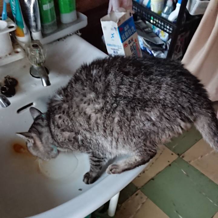 20af2f5a aeff 410e b759 c78a8dec72f7 1577517484021