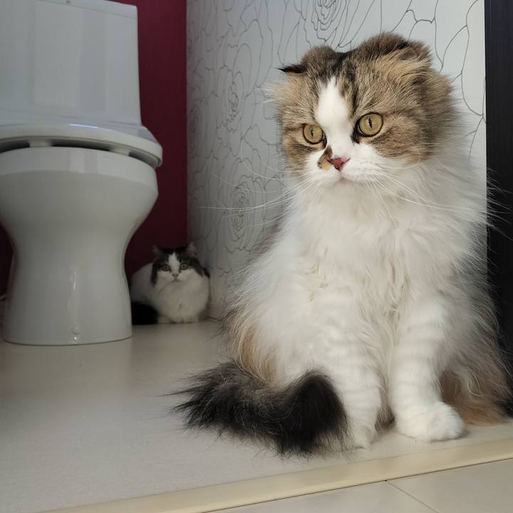 20af2f8a c1fb 40a9 8f55 be8823105308 1767139550316