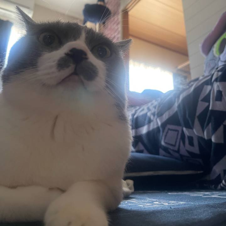 20af56fc 8d80 4959 9f31 240d43cffe97 1722380945639