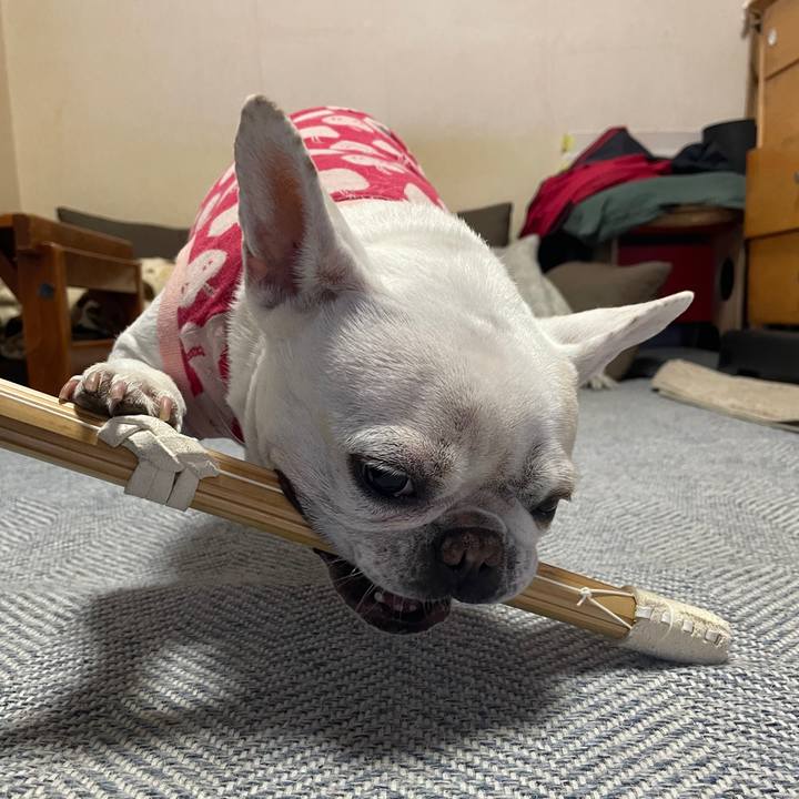 20af9c73 ccc3 414a b2e3 28eaf7f3d400 1743496691189