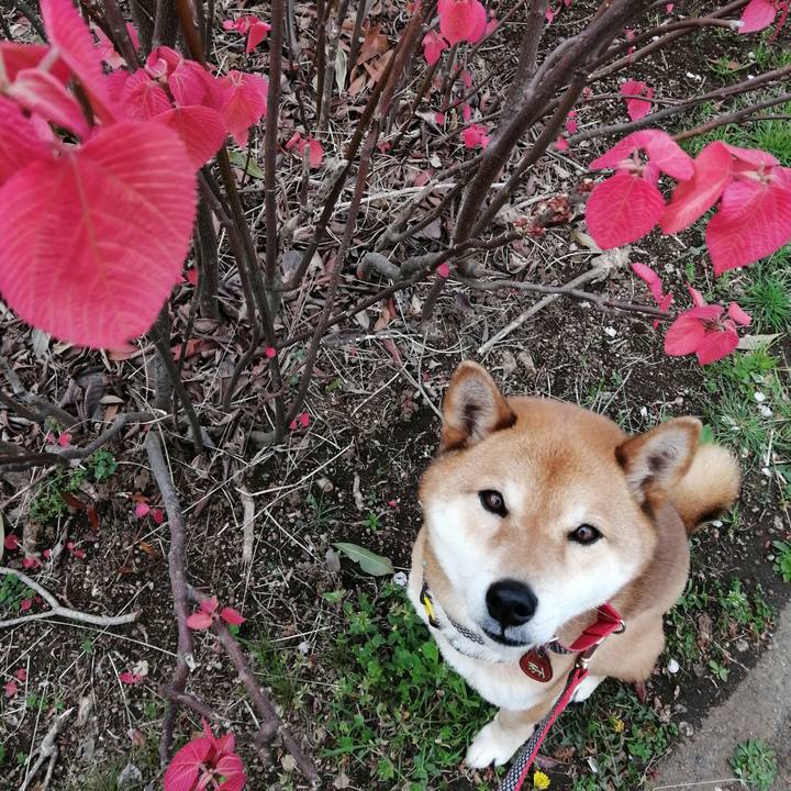 20afe6cc d90b 402d 91ab d02beaff9f45 1586223919264