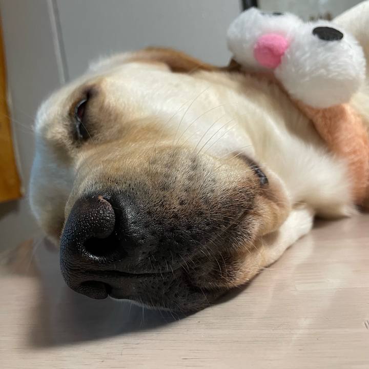 20afeb0d 17ea 4c88 963c 36cf52780c70 1661506668957