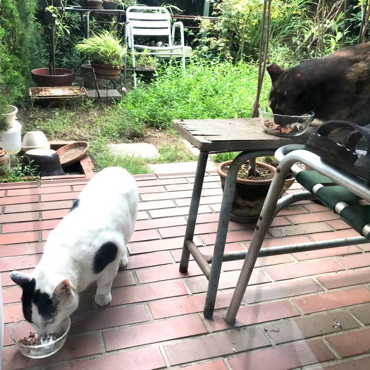 20afed10 e367 4c46 a3d5 a1092053f656 1599647253503