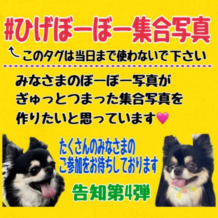 20b01b6c c25c 4305 86d5 de43990005ab 1736558081176