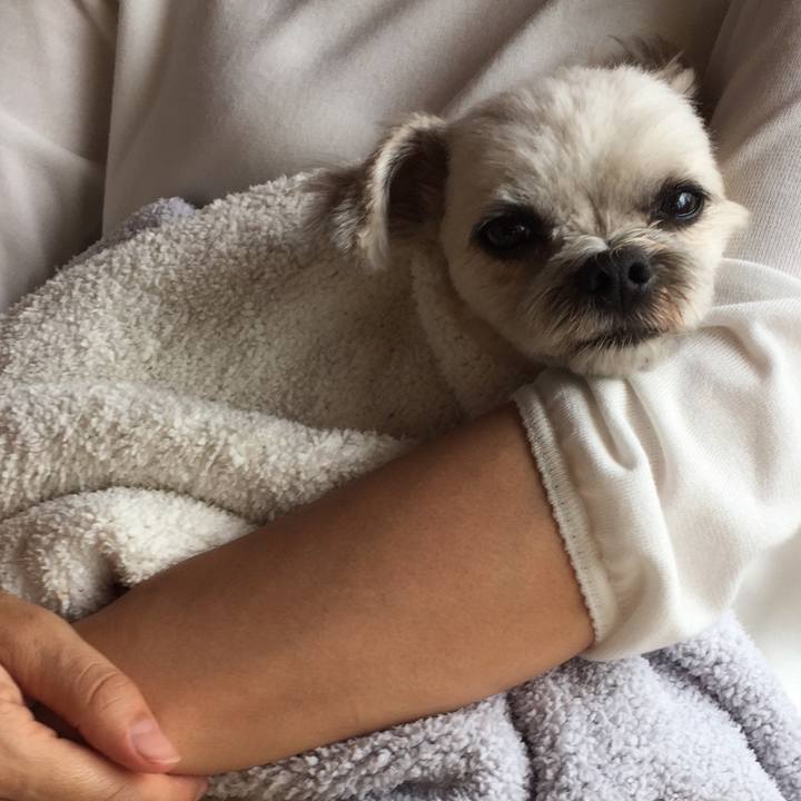 20b03946 9dcd 42a3 80a6 1183ad8b1e54 1561185777053