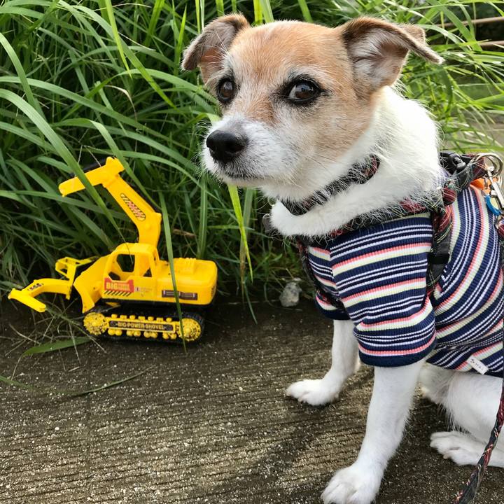 20b0843d c69c 4ff9 b67a 46bcf3298bda 1603167308486