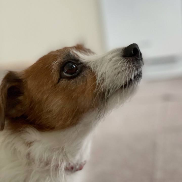 20b08caf c327 45f9 9c06 d670e2943b87 1620309914312