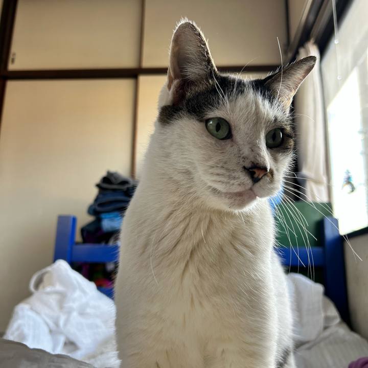 20b0d5c3 5d3f 49ab aaca ab1684e4b239 1765290937336