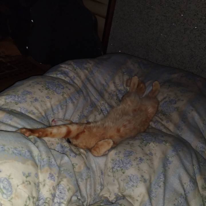 20b174ab 8989 488e 8321 059f14305ab1 1664459664307