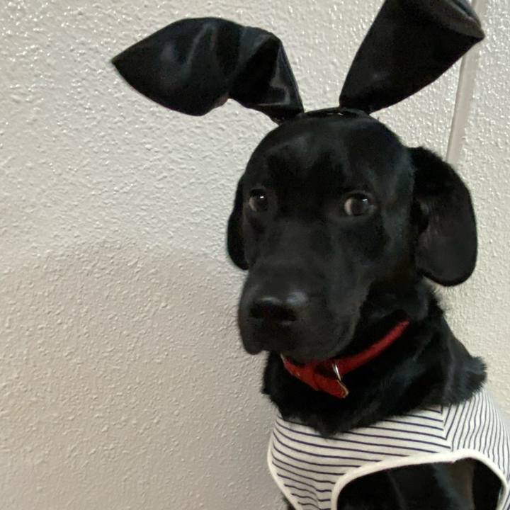 20b1b5f3 9d88 44ac bc9e 6a12fe4e2a23 1619005382489