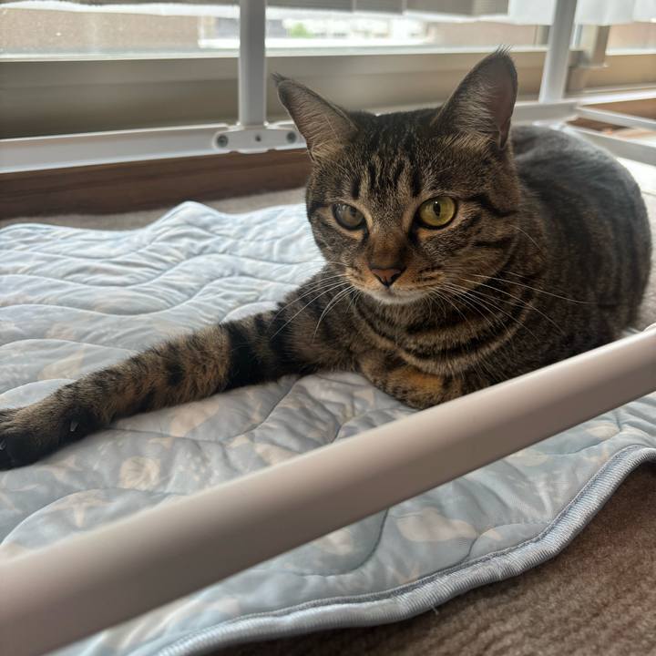 20b1b7d7 5b0f 45ee 836b 3d3ca9cea579 1756344139208