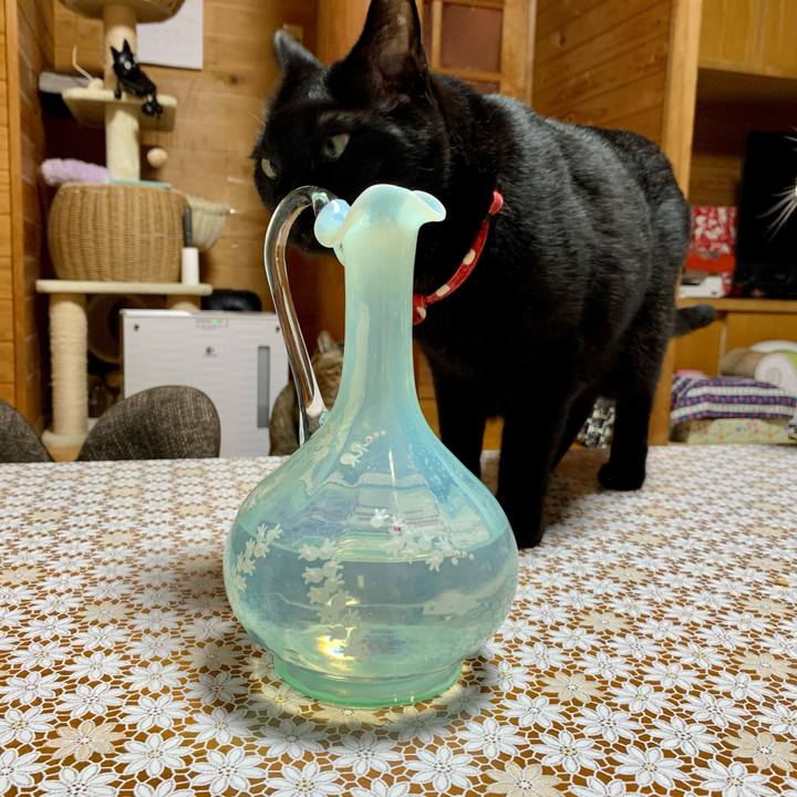 20b1be12 2b4b 4ae0 b09d ea4b7c8d130d 1604233445847