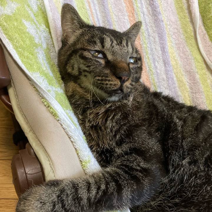 20b2090a 01c6 4d5b 9c16 efe3d3a4a867 1658540843598