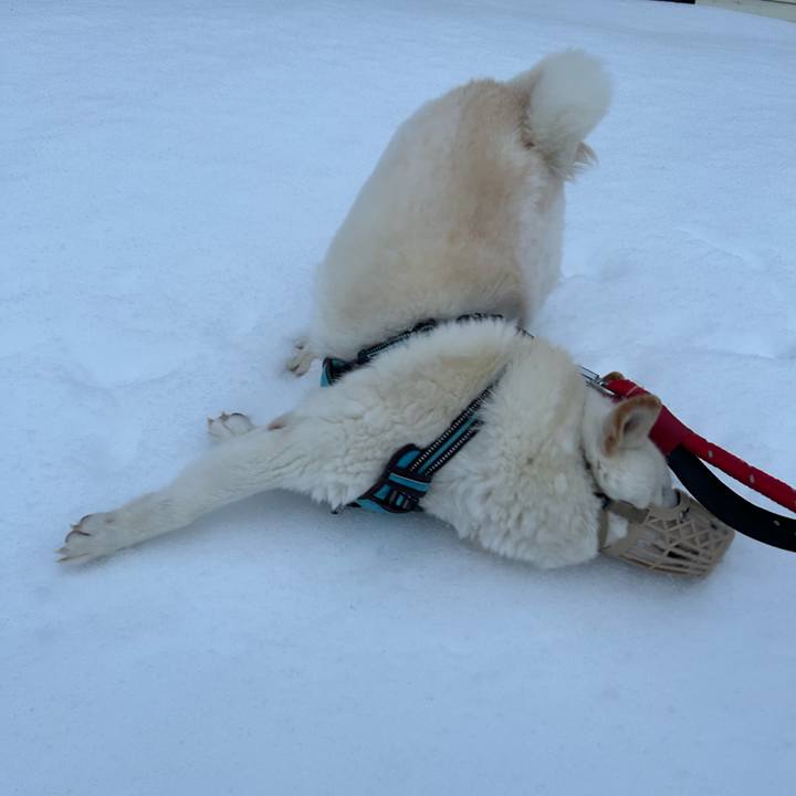 20b20c6e 48e2 46a8 bf09 136a2e6dd635 1737425483239