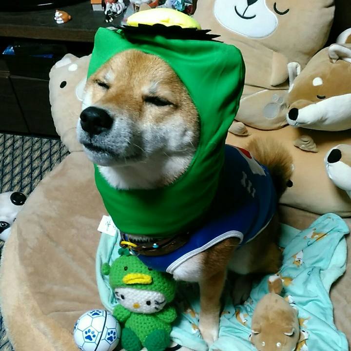 20b22cca a0bf 4a86 ab6c 11bee310ebc9 1529846706779