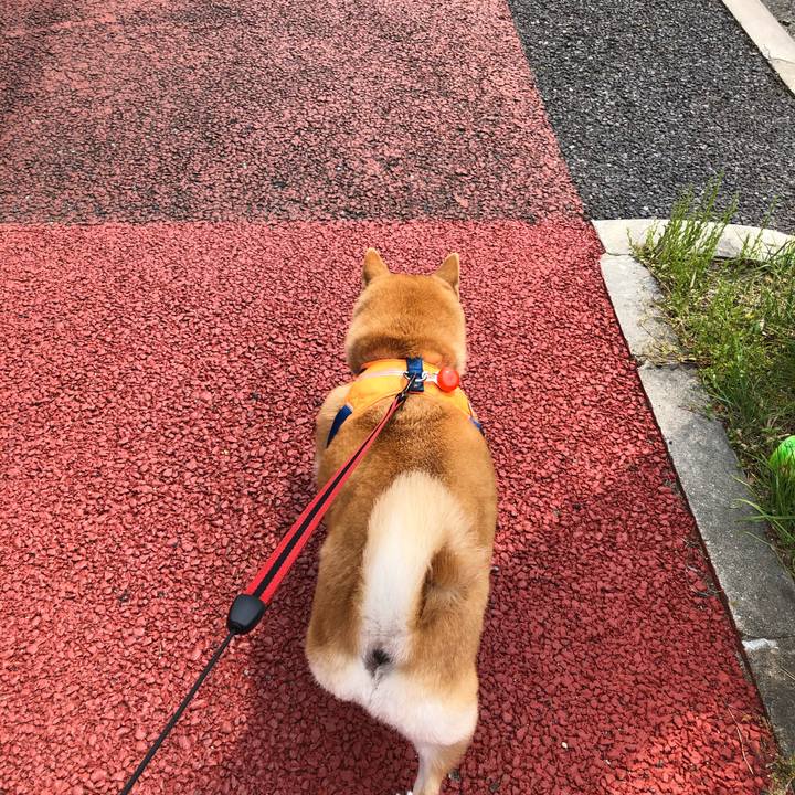 20b23437 51b3 4d5b 8136 822deff4f2e9 1587899382196