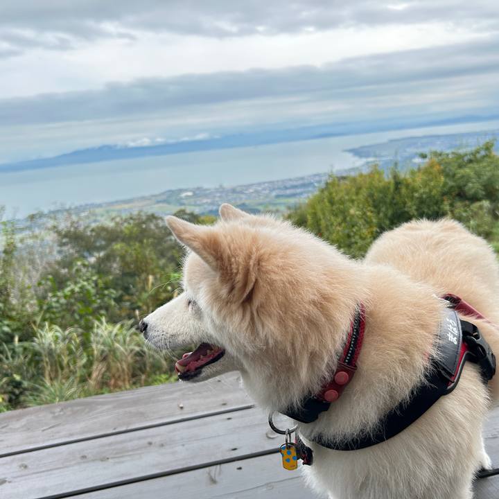 20b2351d 6c7c 4423 a558 9e59077ee99c 1760360255906