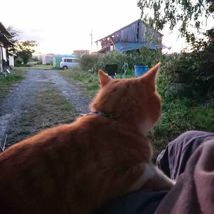 20b2367d 988b 4a58 b148 6b027899e517 1569358615357