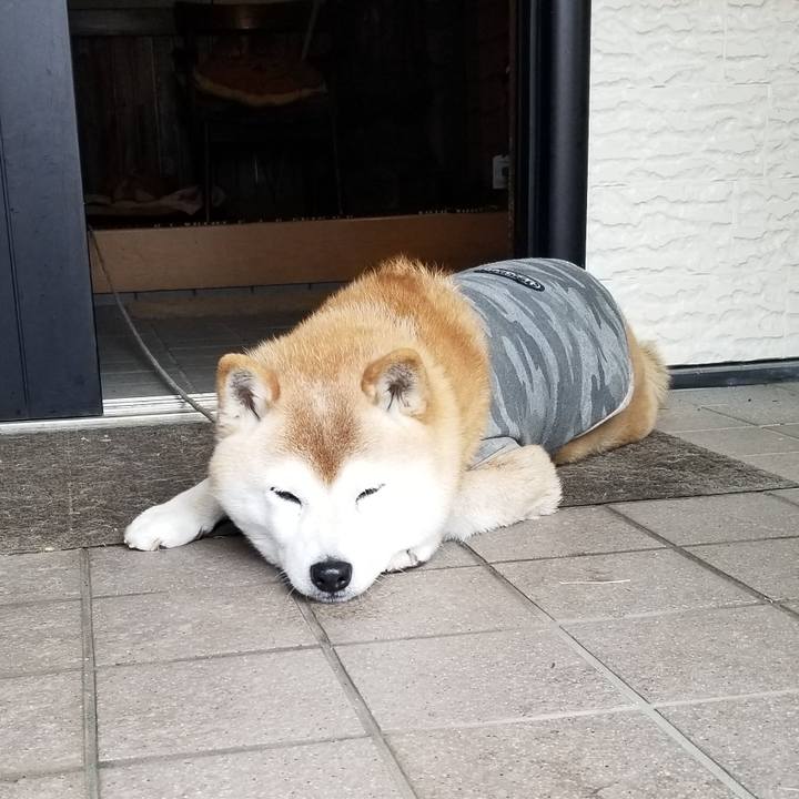 20b23fa8 2760 4afd 97aa c174f16c1a89 1679636629541