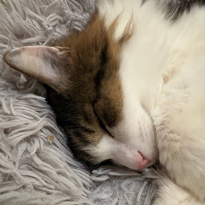 20b25a18 2b67 4549 a1d8 9fc6d72283a9 1767449648960