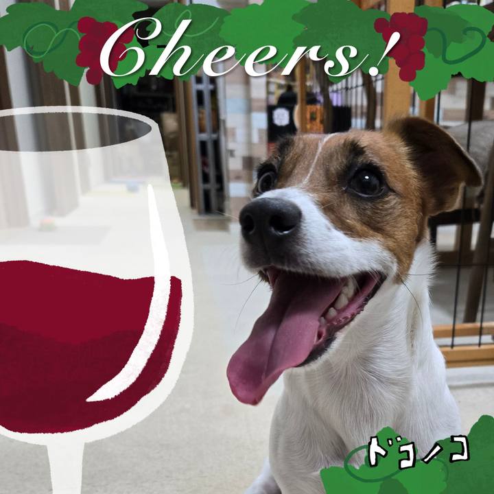 20b28bd3 8284 4490 b6f2 82373ac7d9d1 1761382260981