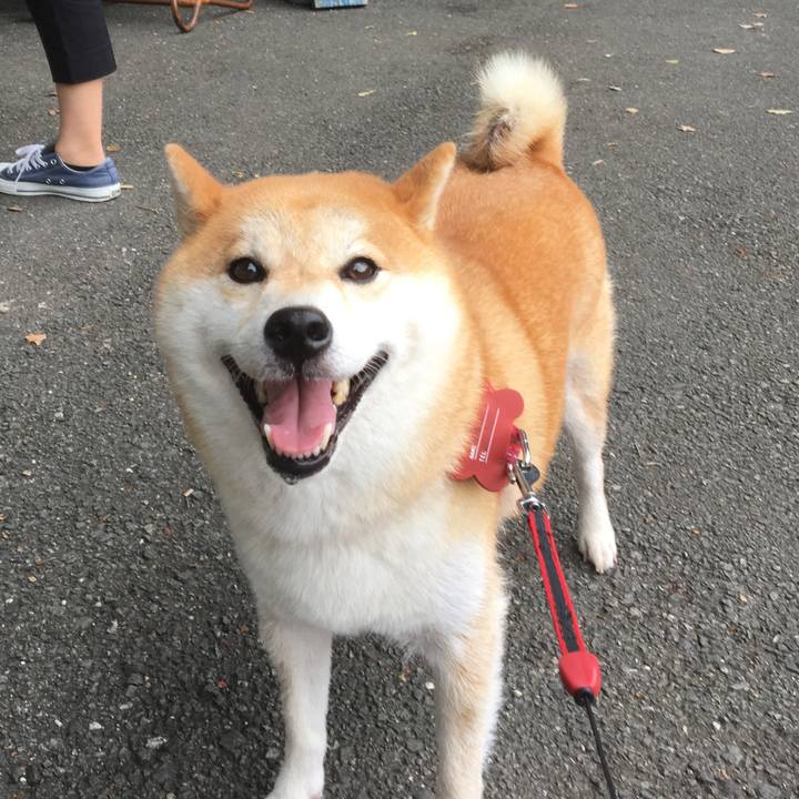 20b2b024 5d82 415e 806d cb1ce0f896be 1540170443112