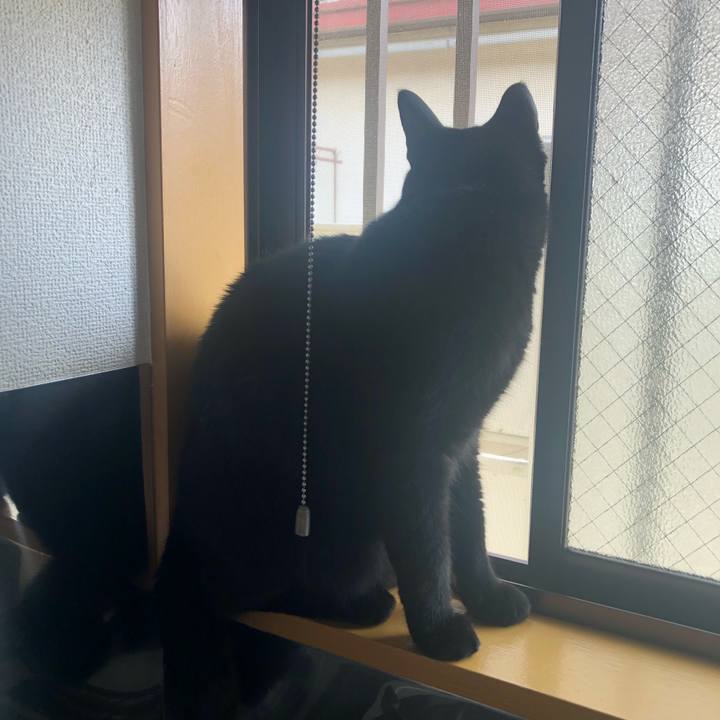 20b2b0f0 6582 4fec 8ec6 ad33d583f3da 1565565303596