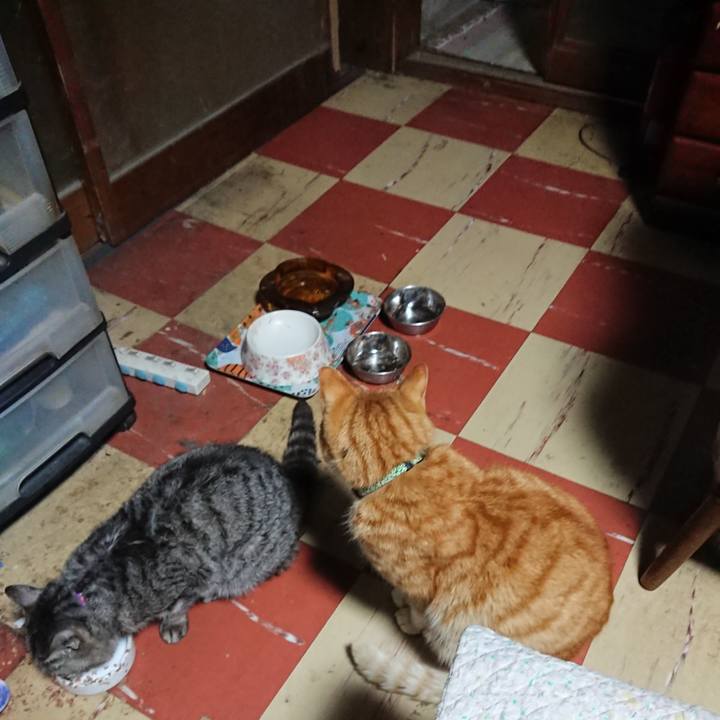 20b2b942 0df3 4993 bae7 d3d58870ff7d 1583699512992