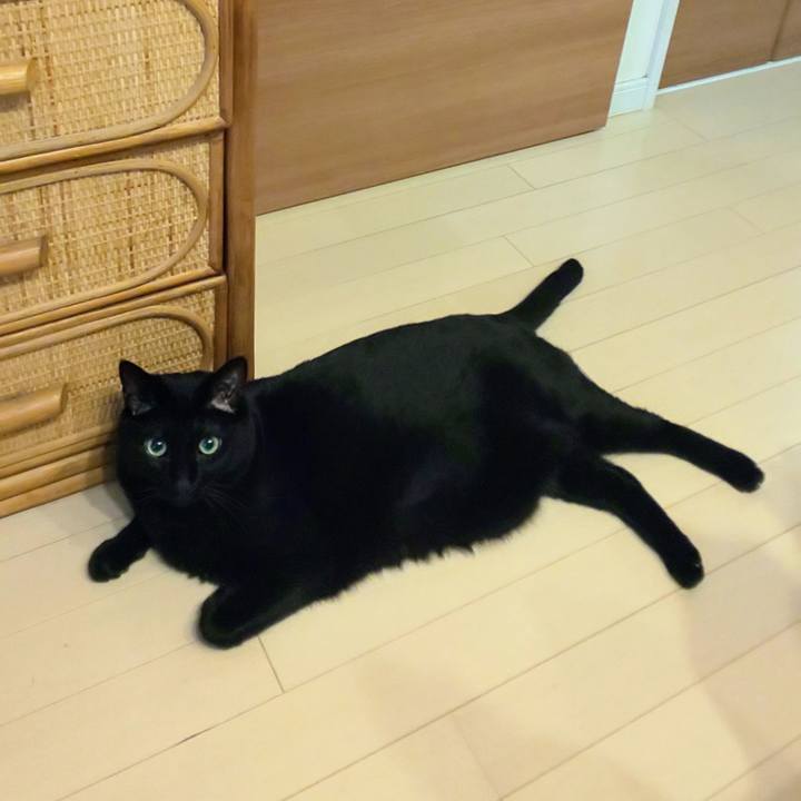 20b2c7e3 81ce 4750 80f7 9d48c55919ca 1721860448755