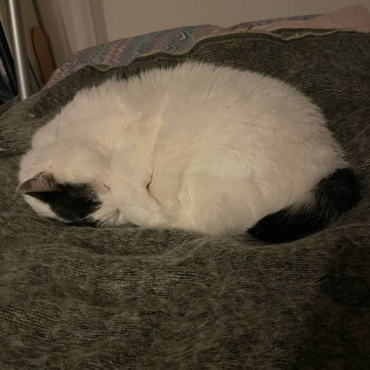 20b2d97a 4a75 4091 8234 323d8cbb1c58 1666448820743