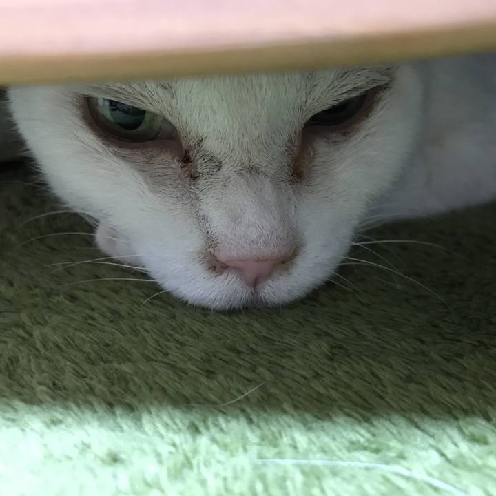 20b2e270 eb1b 4407 bcbb d42331d01af7 1515594609336