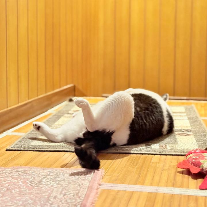 20b31ff8 8cb1 4ab3 b904 962281d8b824 1751853111146