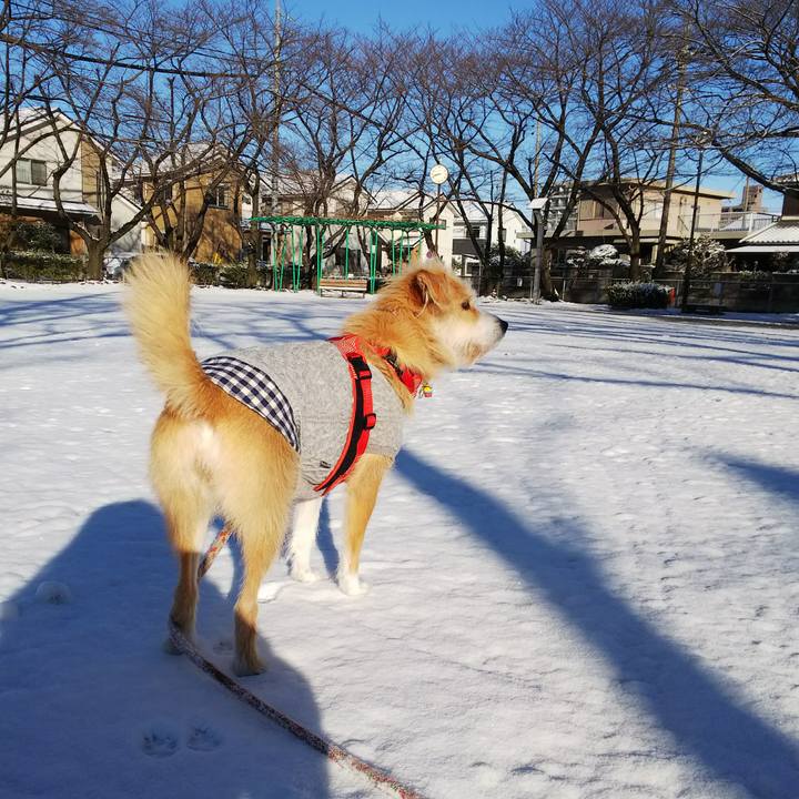 20b33061 ebc3 43b1 be42 35187c5853b8 1516837851956